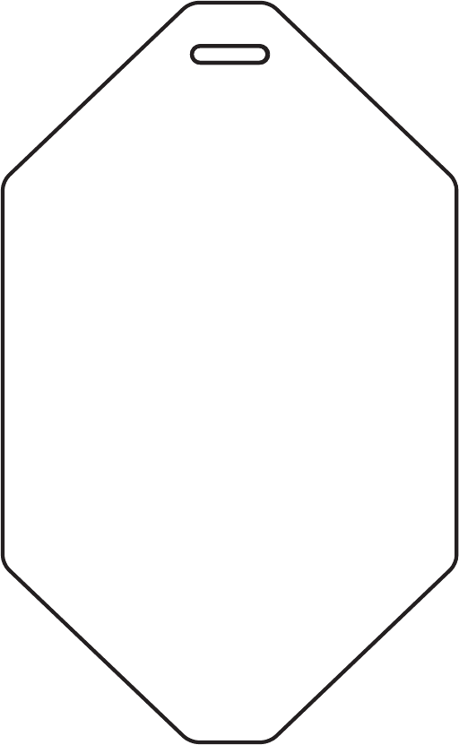 Octagon