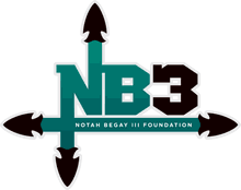 NB3 Foundation