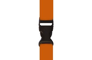 Lanyard with release buckle attachment